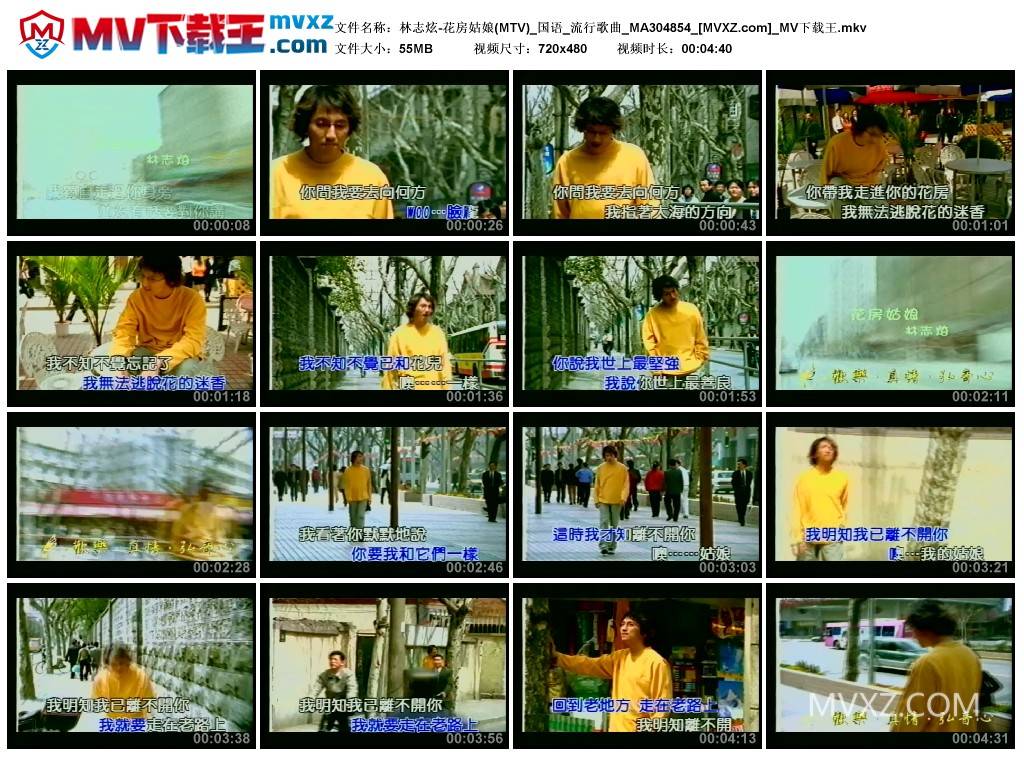 林志炫-花房姑娘(MTV)_国语_流行歌曲_MA304854
